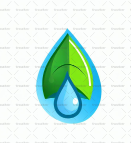 Wassertropfen und Blatt